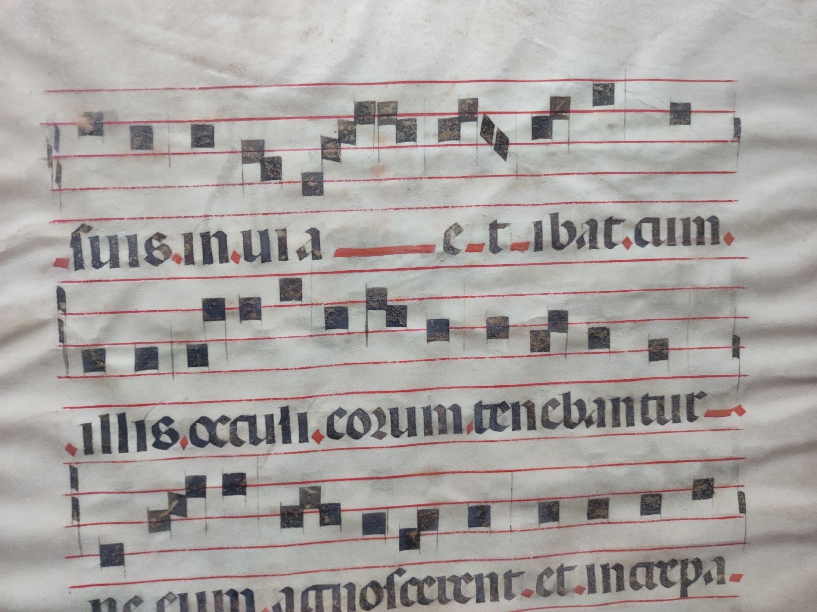 Poster & Bilder: MANUSKRIPTE - ANTIPHONARIUM – Gebraucht aus Goldach von Gaip 5
