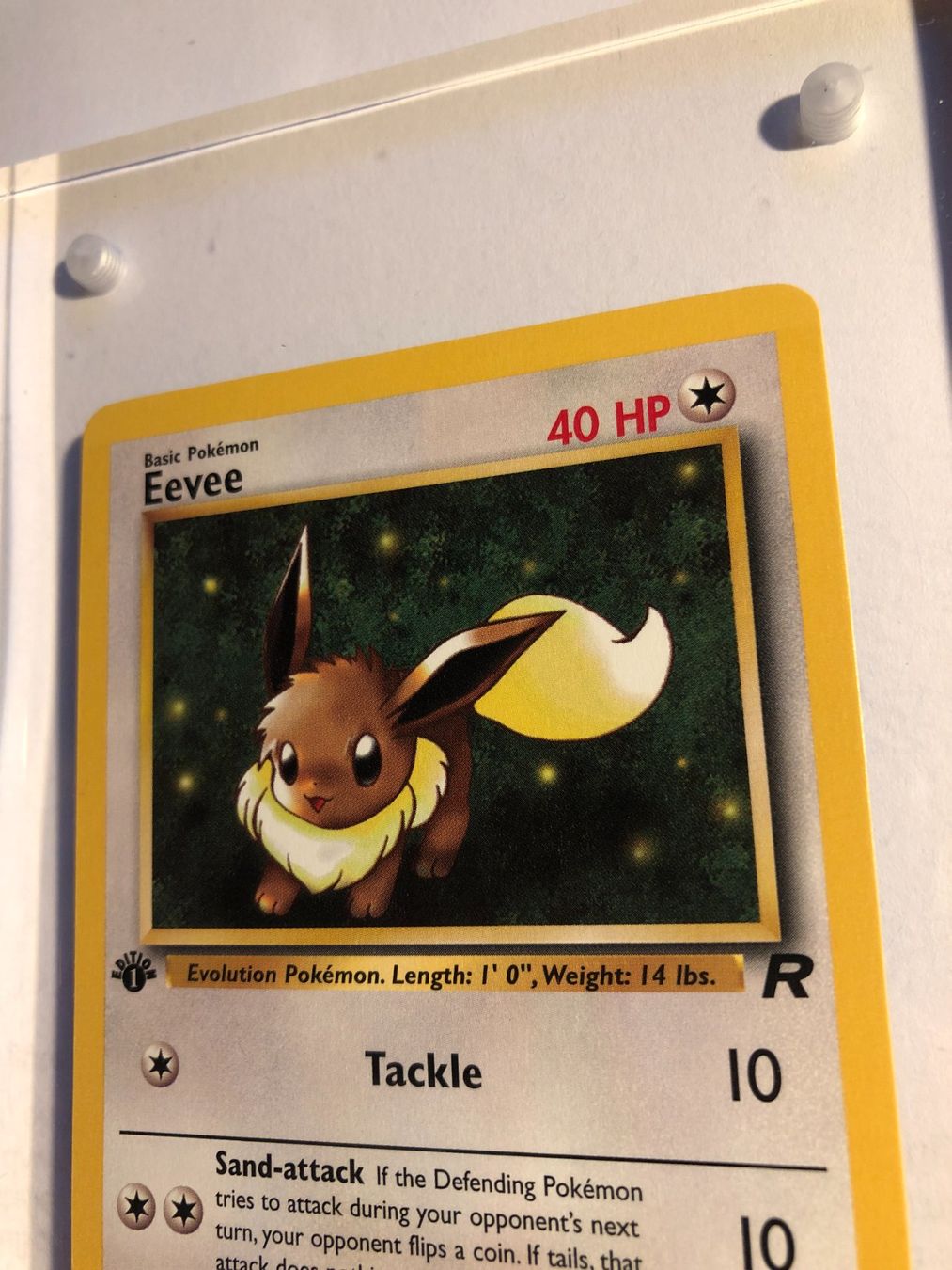 Sammelbilder & Trading cards: Eevee 1st Team Rocket - MINT - ab 1.- – Gebraucht aus Giubiasco von dan_pr8b 3