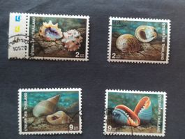 Thailand (-35%)- Singapore Muscheln 1997