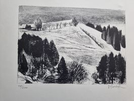 VICTOR SURBEK LITHOGRAPHIE SIGNIERT NUMMERIERT