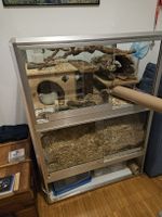 Terrarium für Mäuse (oder Klein-Nager / Reptilien)