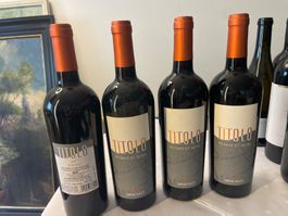 4 Flaschen Titolo Elena Fucci 2009 0.75l