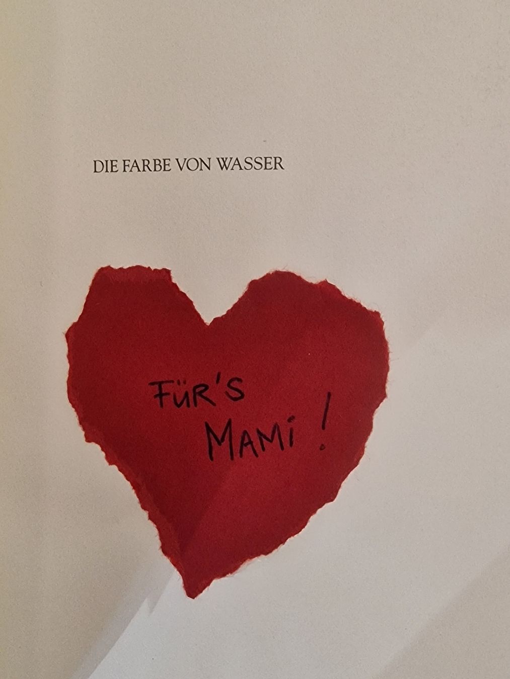 Libri: Buch Die Farbe von Wasser von James McBride  – Usato da Spreitenbach venduto da Laloca8 2