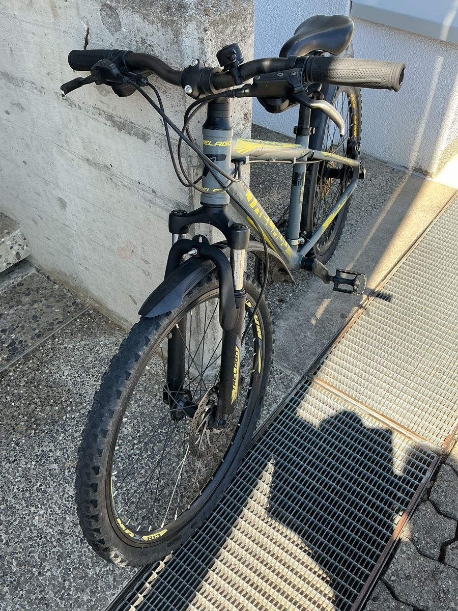 Trelago Biciclette: Trelago Mountainbike  – Usato da Mühleberg venduto da M-Oscar 2