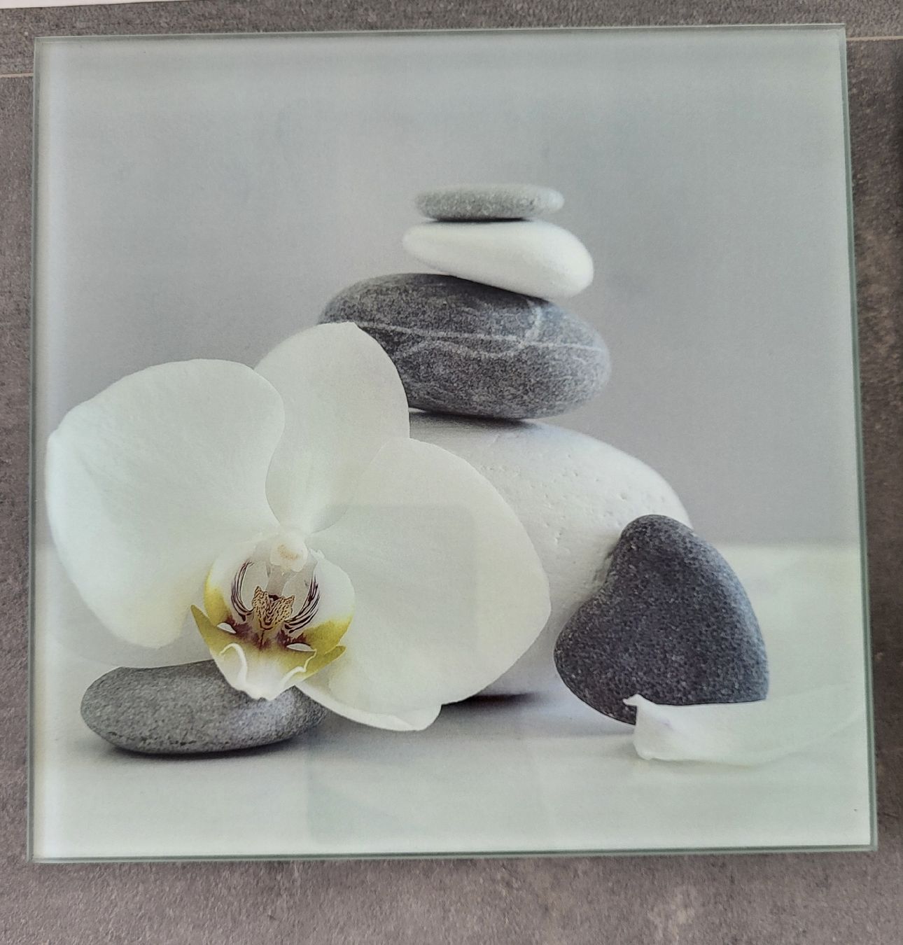 Foto & Immagini: 4 Glasbilder 20x20cm – Usato da Stäfa venduto da Sharon_St 2