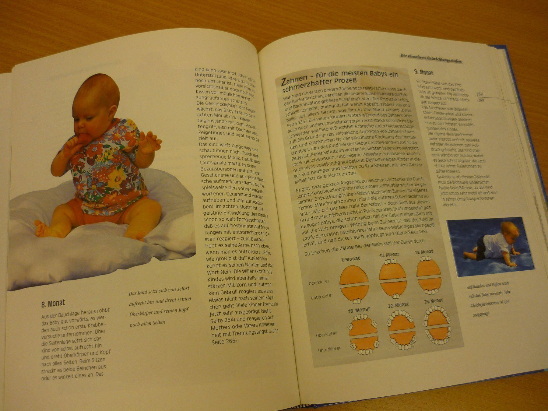 Libri: Das grosse Babybuch (Eltern-Ratgeber) – Usato da Jonschwil venduto da bsn_p8dl 4