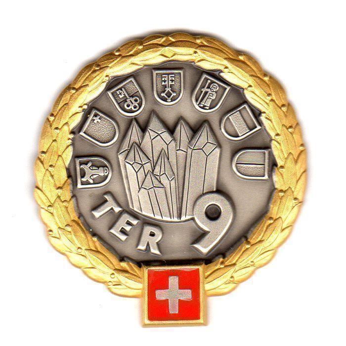 Plaketten & Abzeichen: Béret Emblem Ter Div 9 gold – Gebraucht aus Erlinsbach von S700