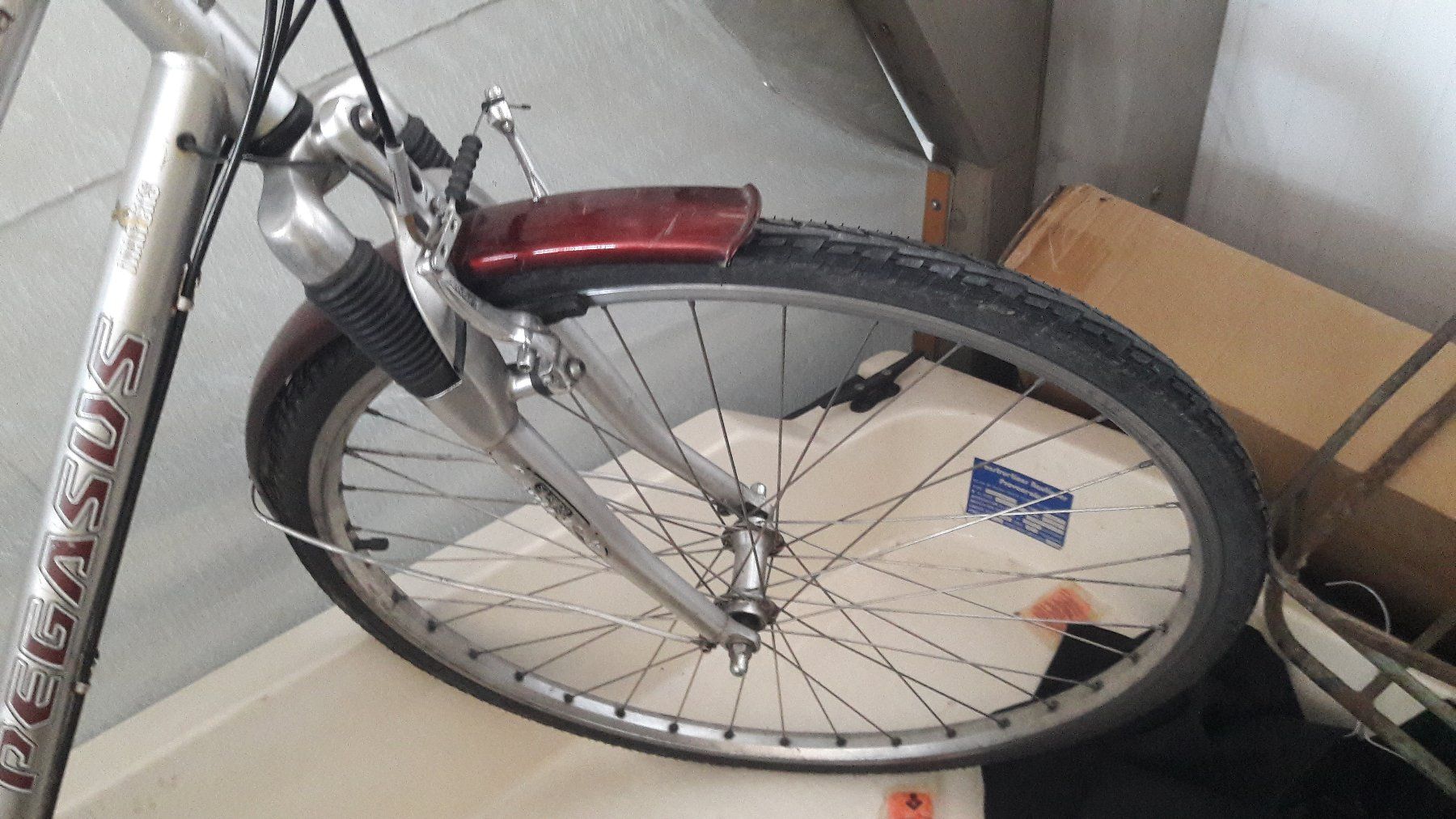 Biciclette: Velo Pegasus – Usato da Laufen venduto da Mann455 4
