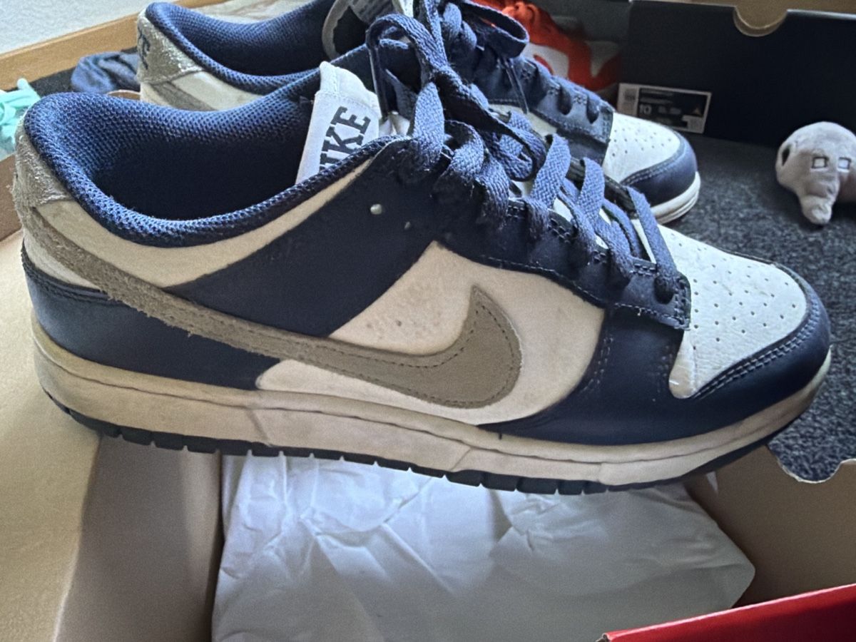 Nike Scarpe da uomo: Nike Air Dunk low  – Usato da Rorbas venduto da Maccaron