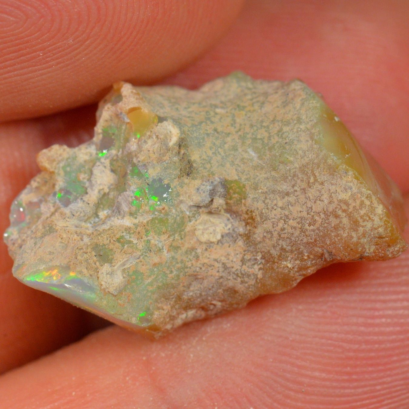 Pietre preziose: 10.7 Karat - Roher Äthiopischer Welo Opal – Nuovo (secondo la descrizione) da Rüti ZH venduto da DeinOpal 4