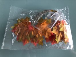 Lichterkette Herbstblätter