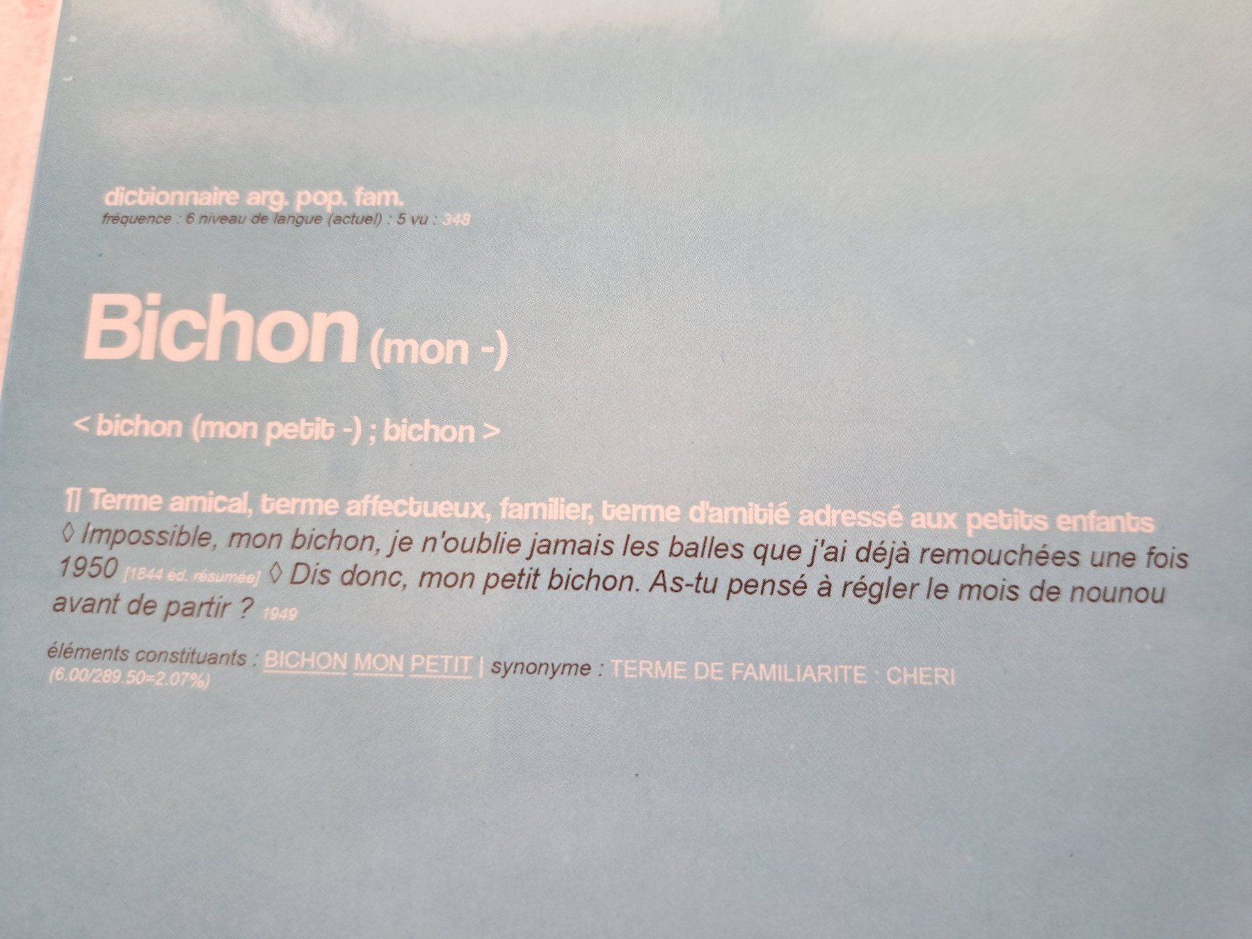 CDs: Cd Julien Doré - Bichon – Gebraucht aus Pully von bro_n52j 2