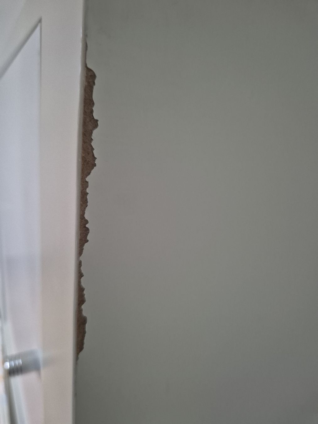 Ikea Scaffali: Kallax Bücherregal – Usato da watt venduto da noe_6v28 1