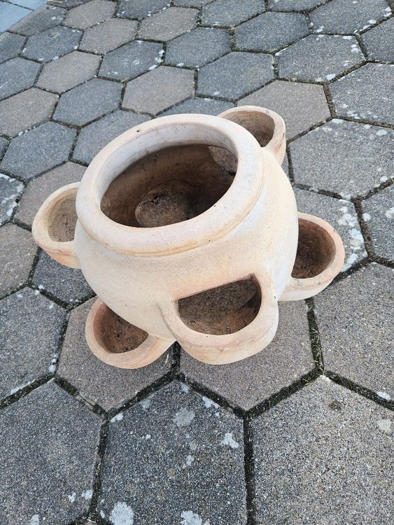 Erdbeertopf Tontopf Pflanztopf Übertopf Vintage Retro Garten Kaufen