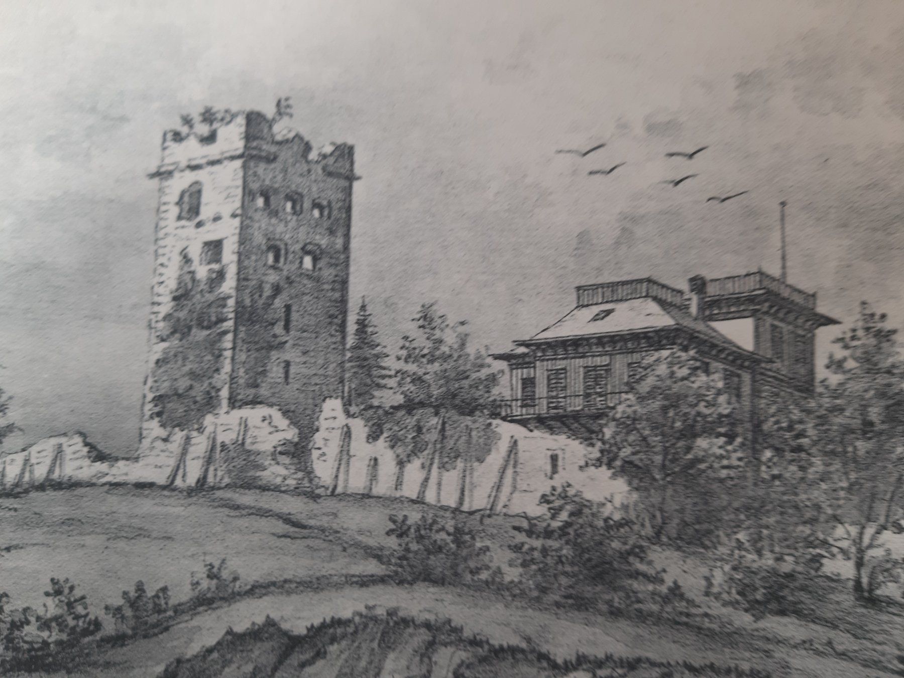 Grafica & Litografie: Seltene Grafik "Blatten (Kt. St. Gallen)" - – Usato da Rotkreuz venduto da nigal 1