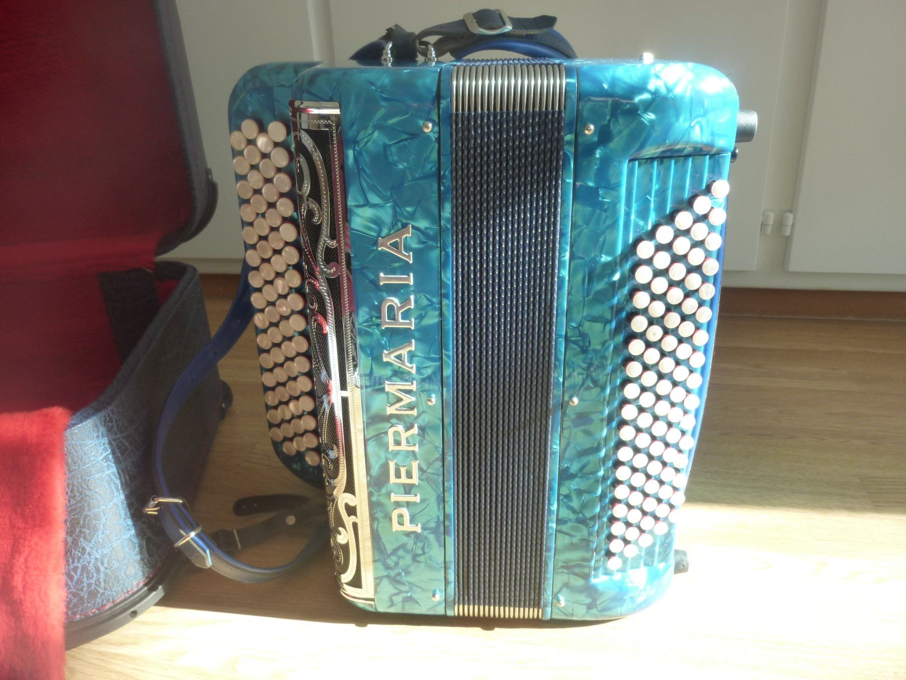 Strumenti musicali: Akkordeon Piermaria – Usato da Nunningen venduto da Annasue 2