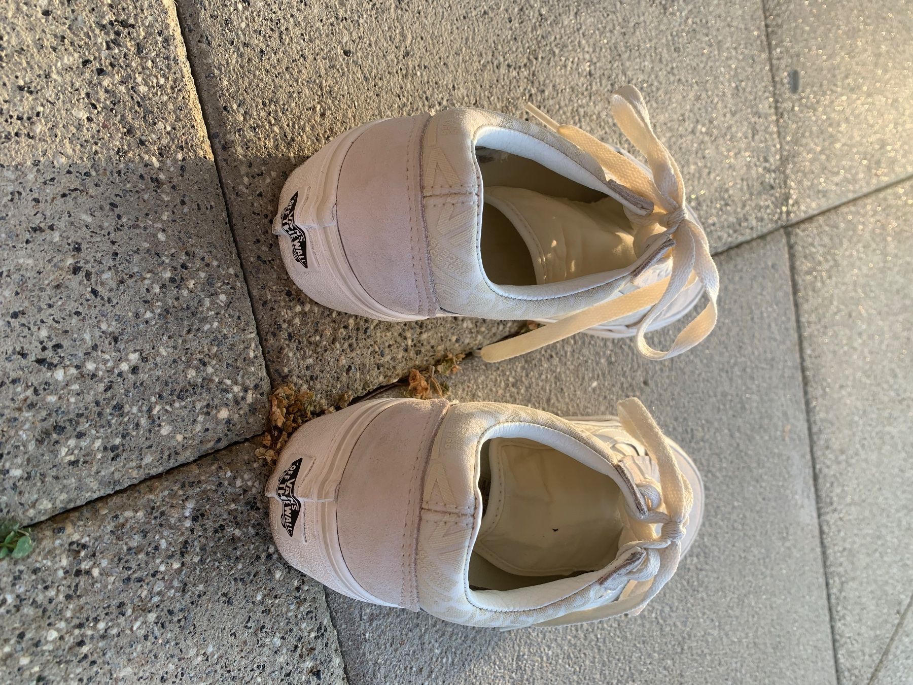 Vans Scarpe da uomo: Vans Gr. 37 – Usato da Bubendorf venduto da sve_z9ly 1