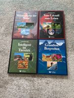 4 Bücher Abenteuer Erde: Meisterwerke der Natur & mehr