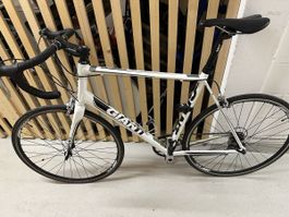 Sportliches Giant Rennrad, Sommer-Fit, guter Zustand! 🚴‍♀️