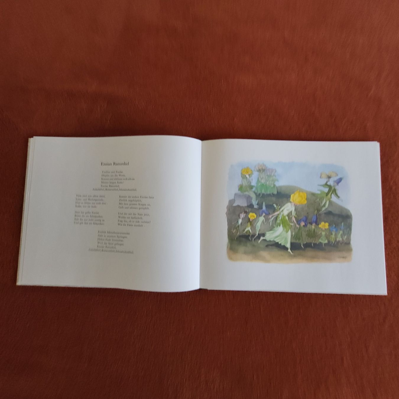 Libri: Alpenblumenmärchen Sonderausgabe 1990 – Nuovo (secondo la descrizione) da Berikon venduto da Zimmerlinde5 2