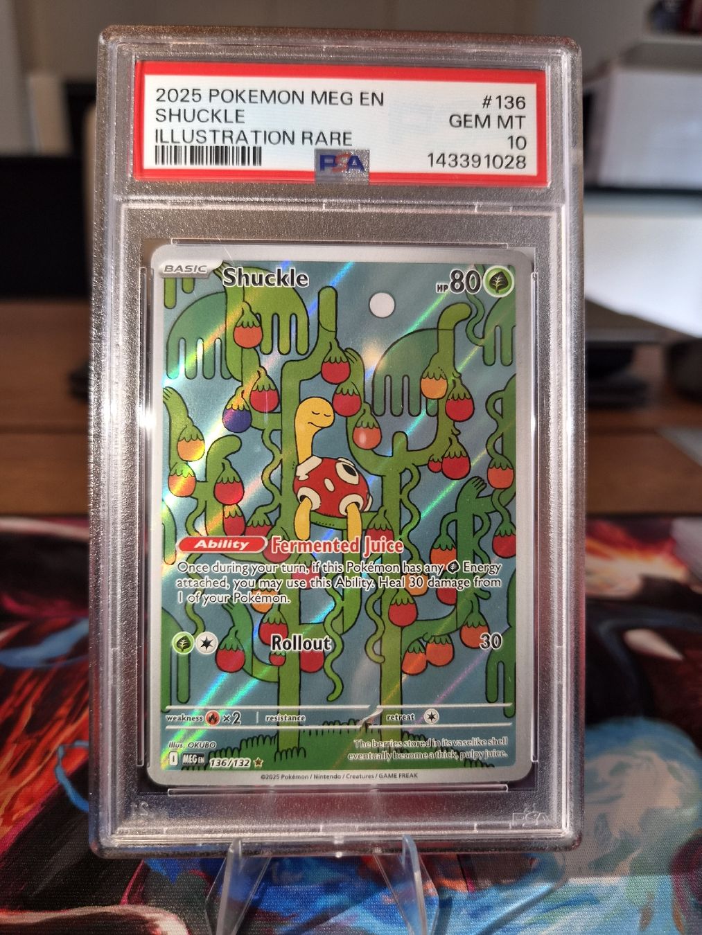 Pokémon Carte collezionabili: Pokémon Shuckle Illustration Rare PSA 10 – Nuovo (secondo la descrizione) da Castione venduto da fra_gj2d