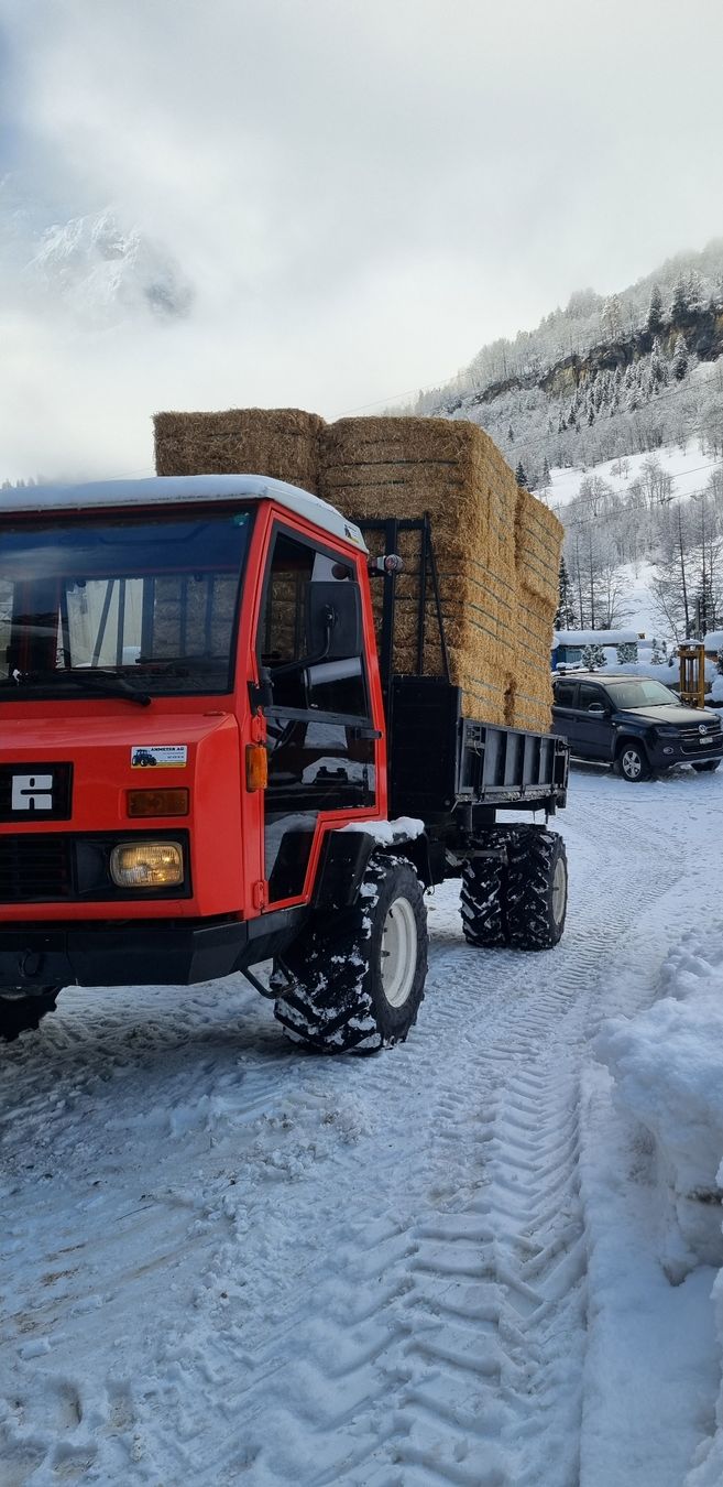 Tutte le macchine: Reform Muli 550 – Usato da Leukerbad venduto da Noyer01 2