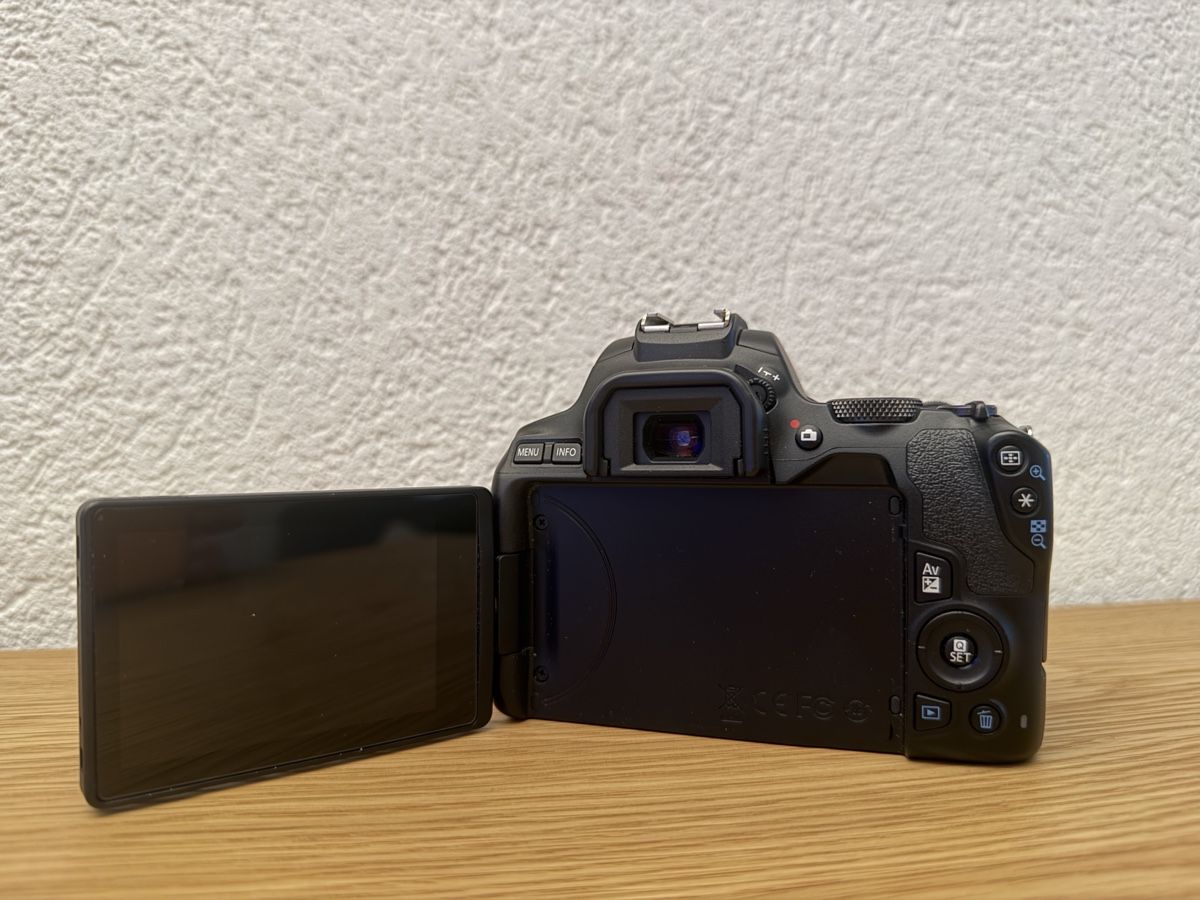 Canon Appareil photo: Canon EOS 250D + 2 batteries + chargeur original – D'occasion à Sion par marcio.ferreira 3