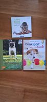 Bücher: Beschäftigung für Hunde