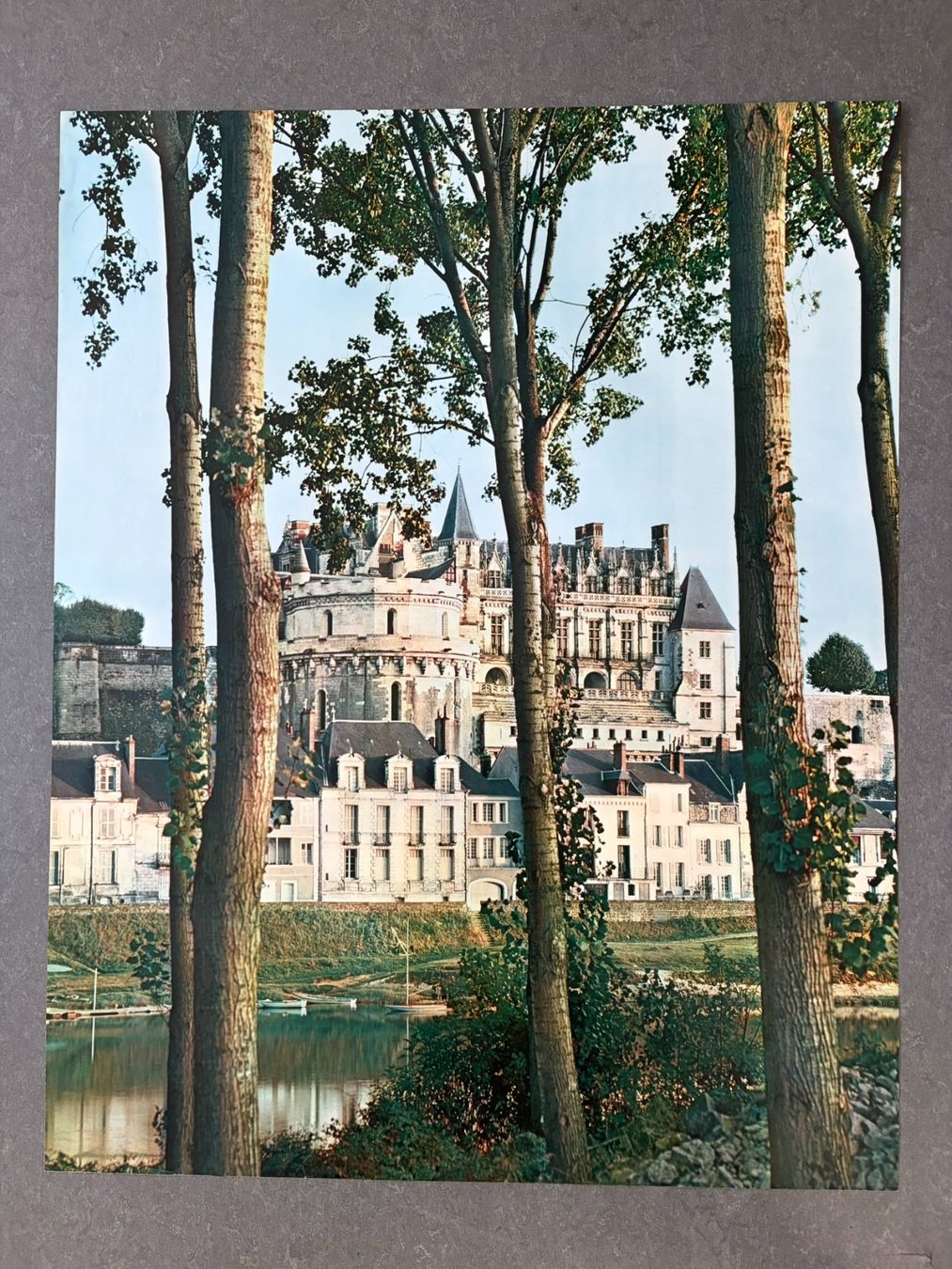 Foto & Immagini: Original Vintage Poster - Chateau d'Amboise – Usato da Zürich venduto da jesulin05