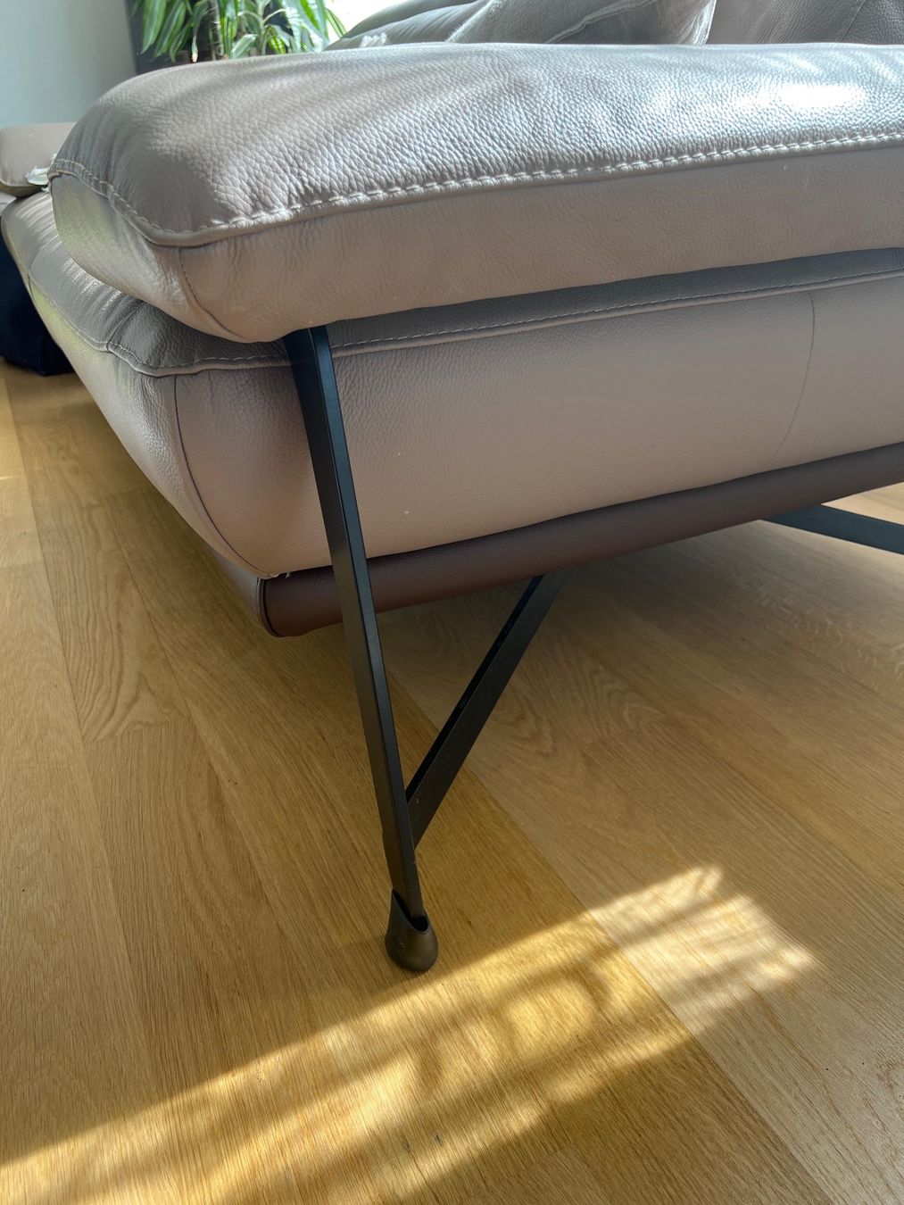 Divani: Zweiteiliger Sofa aus echtem Leder – Usato da Pfäffikon ZH venduto da dam_2wvg 5