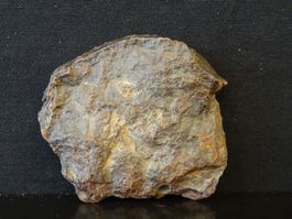 Meteorit Chondrit Stein-Meteorit NWA NORD WEST AFRIKA SAHARA