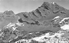 Braunwald (GL) – Winteransicht mit Tödi und Ortstock