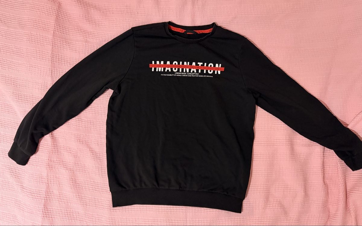 Maglioni & Felpe: 9 Pullover + Hoodies. Kaum getragen! – Usato da Bellach venduto da nyyx 6