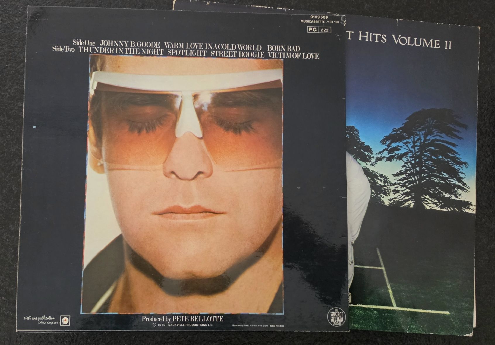 Dischi in vinile: 2 Elton John Vinyl Schallplatten – Usato da Obergerlafingen venduto da 88MPH 1