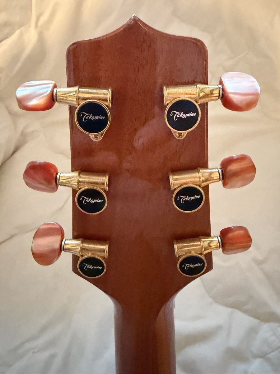 Takamine Musikinstrumente: Takamine Santa Fe LTD97 – Neu (gemäss Beschreibung) aus Diessenhofen von the-wingmaker01 5