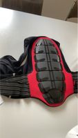 Protection dorsale pour ski ou moto