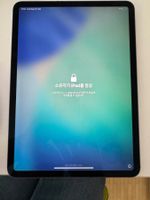 Apple iPad Pro 11 Zoll mit 256 GB