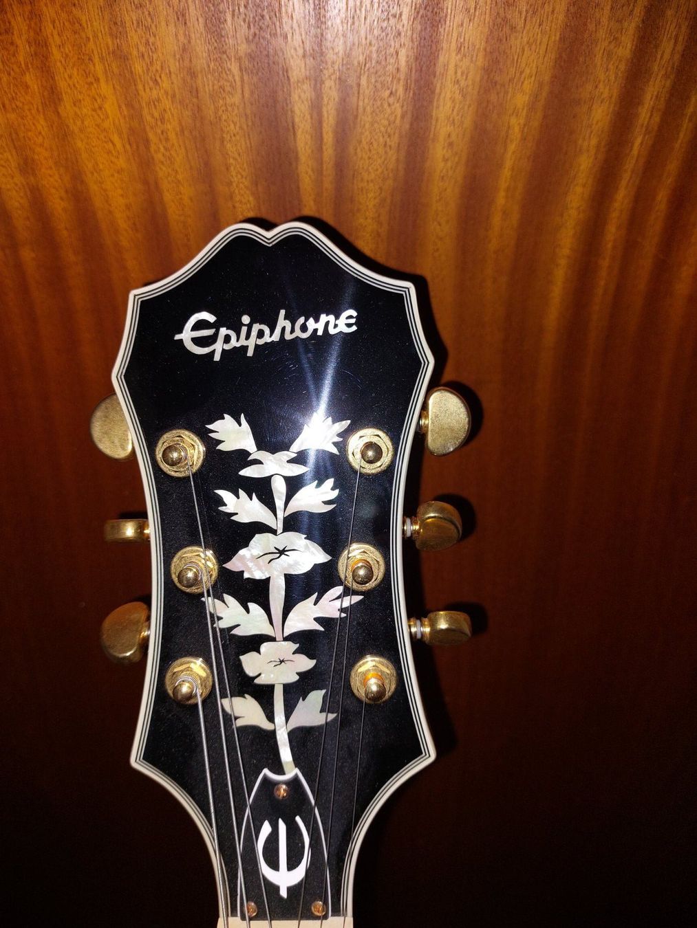 Epiphone Strumenti musicali: Epiphone Sheraton 11 Pro E-Gitarre – Nuovo (secondo la descrizione) da Arlesheim venduto da wiesengruen 4