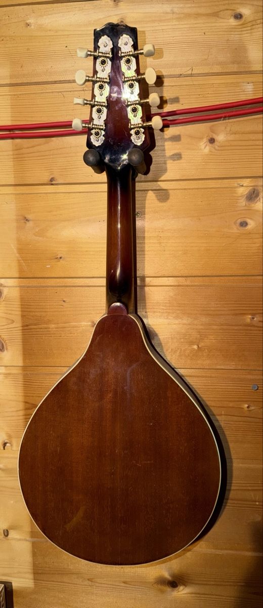Strumenti musicali: Mandoline DiMavery acoustique – Usato da fey venduto da Caductilometre 2