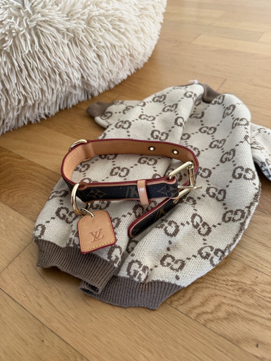 Cucce & Letti: Grosses Hunde Set – Usato da Reiden venduto da fashion_2021 1