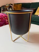 Cache-pot design noir & doré | Black & gold designer planter