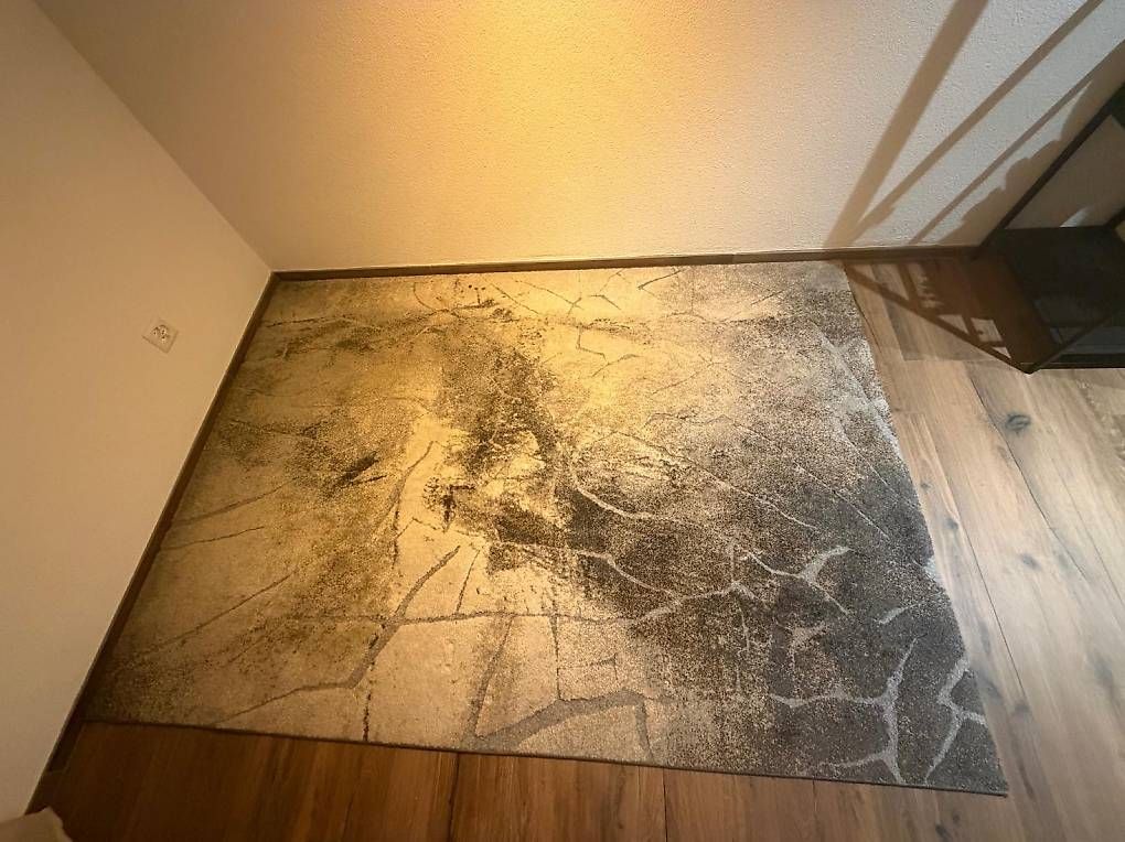 Teppiche: Teppich – Gebraucht aus Uzwil von sab_nhc7 1