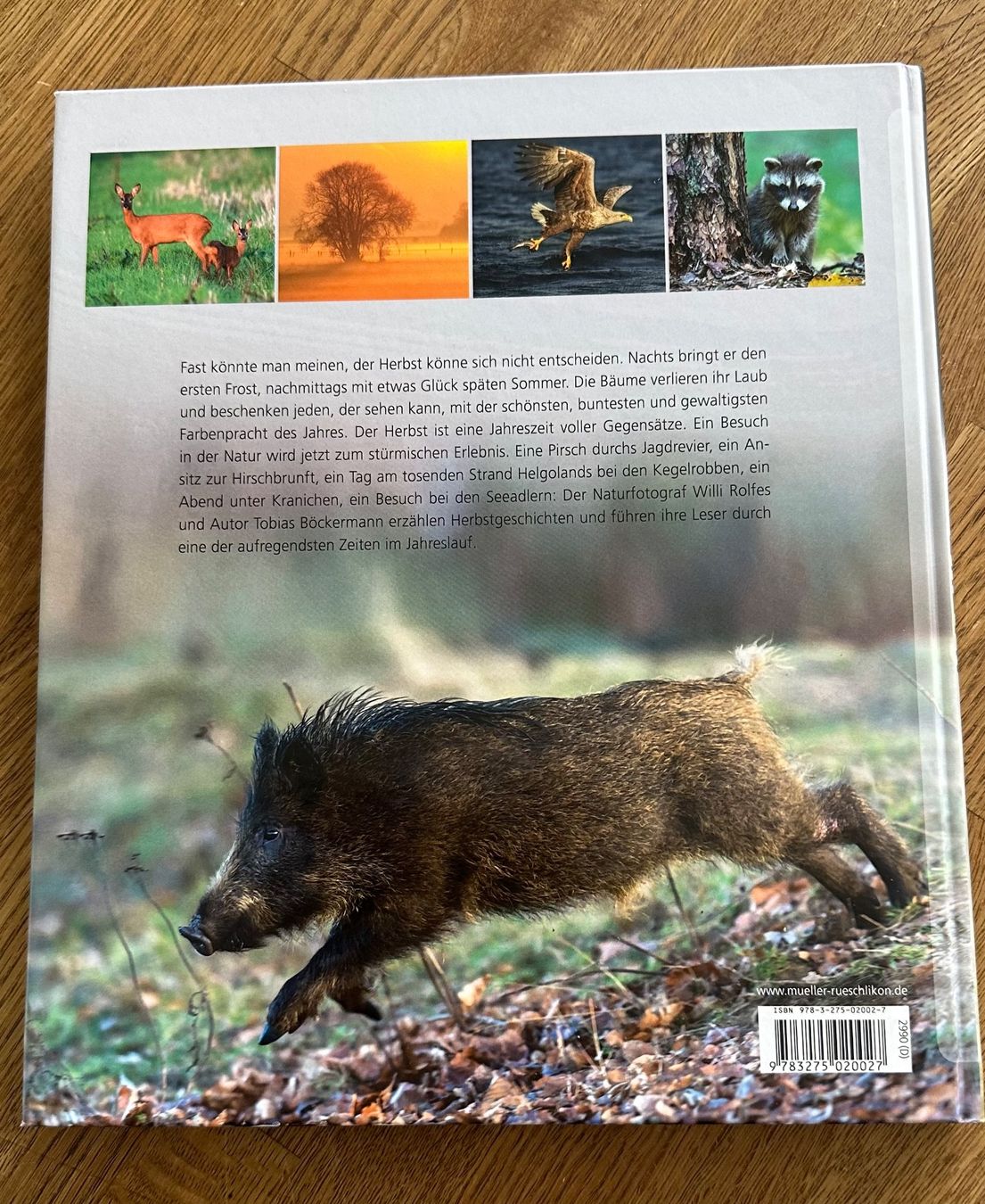 Libri: Buch "Natur Impressionen" - Herbstliche Jagdreviere! – Nuovo (secondo la descrizione) da Krauchthal venduto da Kiddy32 1