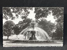 Genève, jardin anglais.