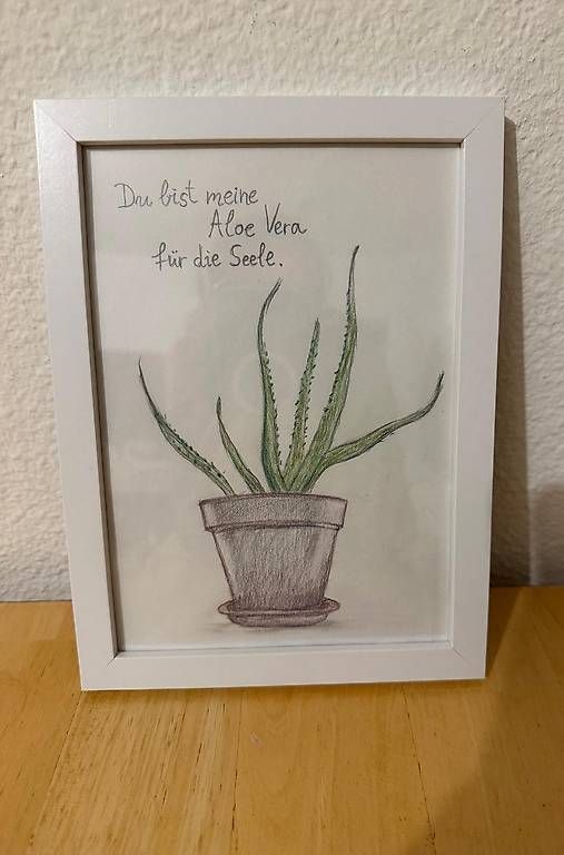 Dipinti: Handzeichnung Aloe Vera – Nuovo (secondo la descrizione) da Zürich venduto da and_sr7w 1