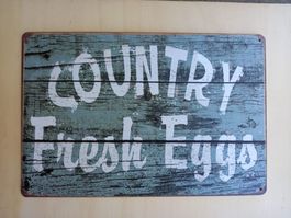 Fresh eggs Blechschild