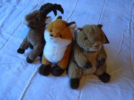3 Coop Abenteuer Bergwelt