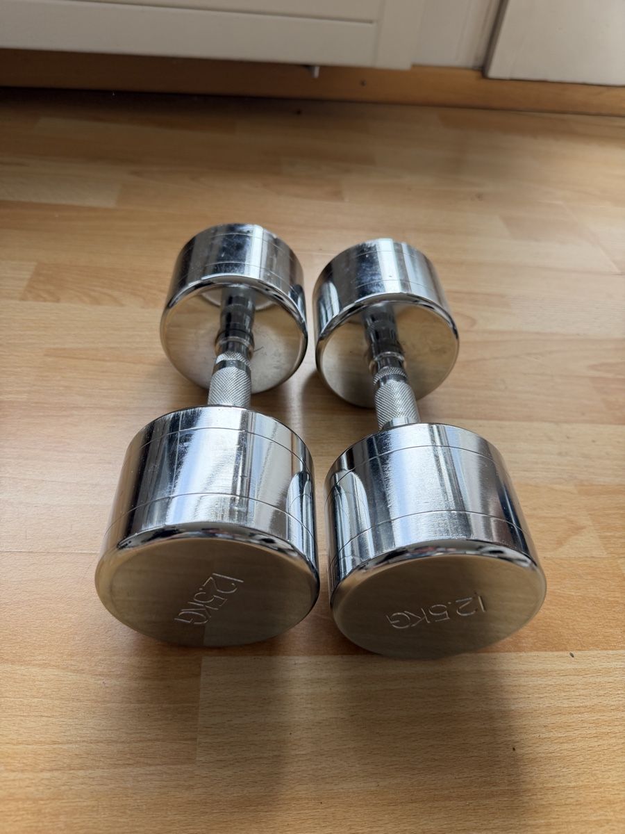 Manubri & Pesi: 2x 12.5kg Kurzhanteln – Usato da Winterthur venduto da oeh_96 1
