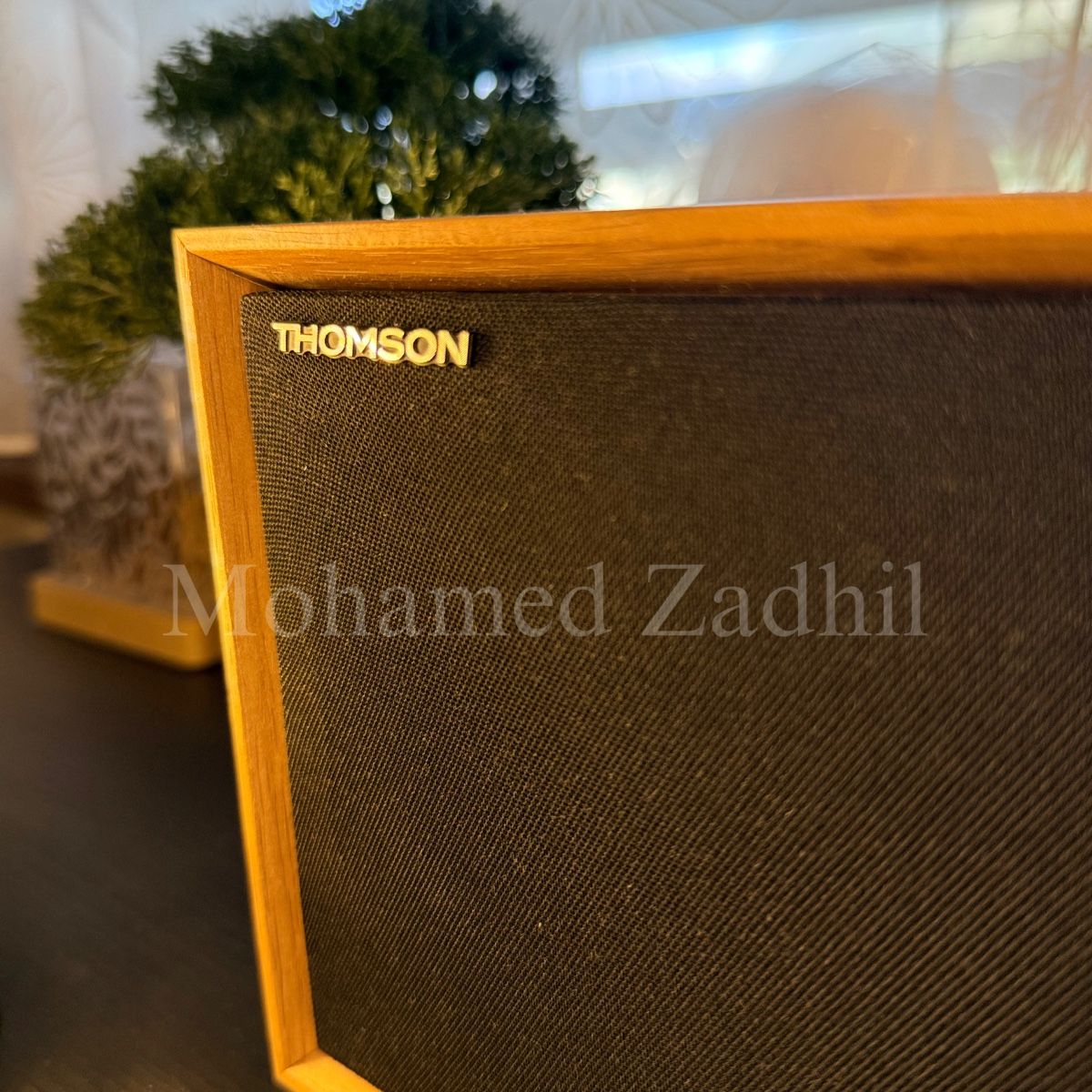 Casse acustiche: Bluetooth Lautsprecher (THOMSON WS702) – Usato da Visp venduto da zad_5hpn 2