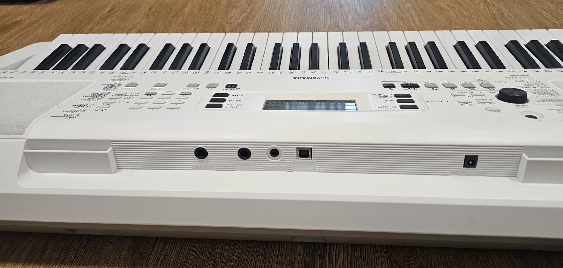 Strumenti musicali: Keyboard Yamaha EZ-300 – Usato da Tann venduto da Samimi02 3